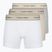 Vyriškos trumpikės Calvin Klein LV00NB4447 Brief 3 pairs oyster gray/grey heather/white