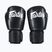 Bokso pirštinės Fairtex Amateur Boxing black