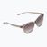 Akiniai nuo saulės Nike Vital Trend college grey/brown gradient