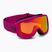 Atomic Count JR vaikiški slidinėjimo akiniai Cilindriniai uogų/rožinės/ mėlynos spalvos su blyksniu