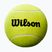 Teniso kamuolys autografams Wilson Roland Garros Mini Jumbo 5 yellow