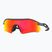 "Oakley Radar Plate" matiniai anglies/prizmės rubino akiniai nuo saulės