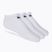 Nike Everyday Lightweight No Show 3pak treniruočių kojinės baltos SX7678-100
