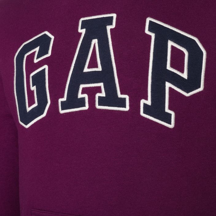 Vyriškas džemperis GAP V-Heritage Logo PO SNL beach plum 4