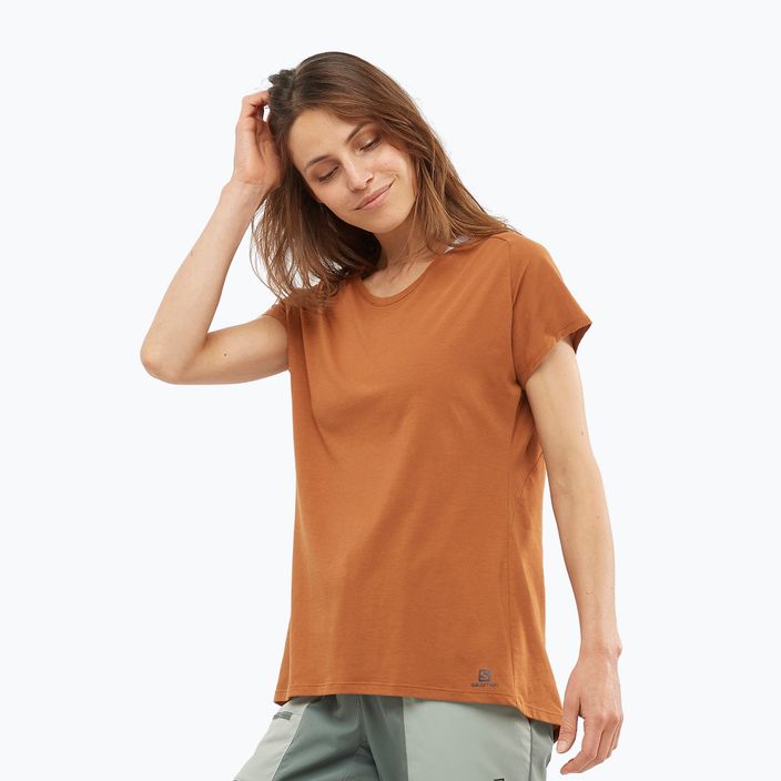 Salomon Essential Shaped SS moteriški trekingo marškinėliai oranžiniai LC1700900 2