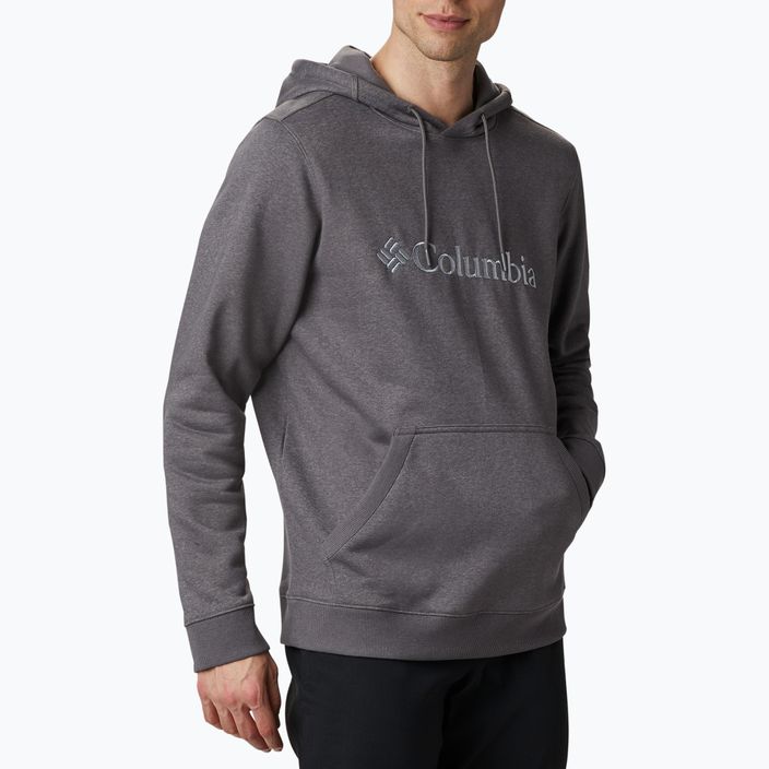 Columbia CSC Basic Logo II pilkas vyriškas džemperis 1681664023 3