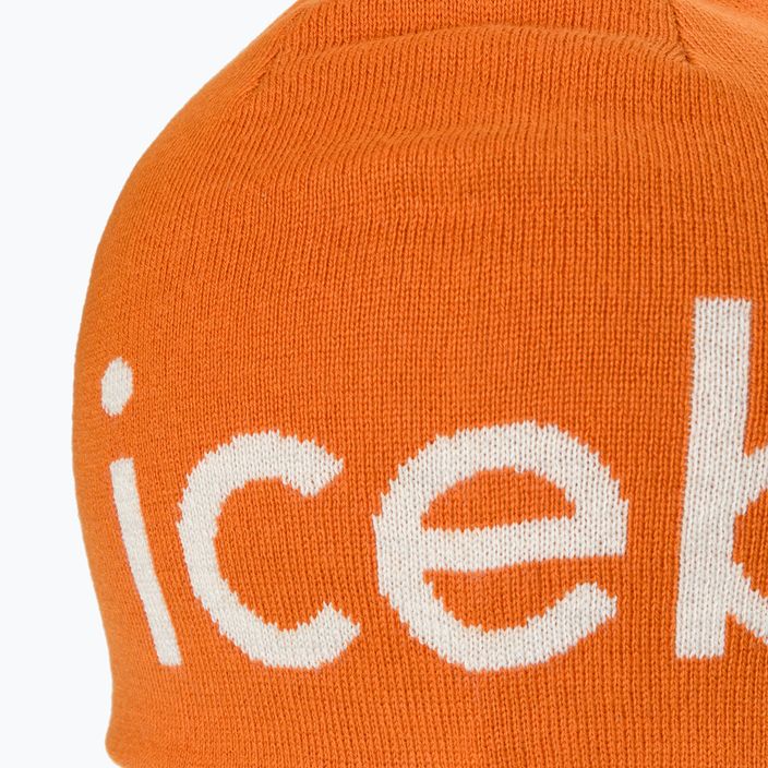 Icebreaker Merino žieminė kepurė earth/ecru hthr 4