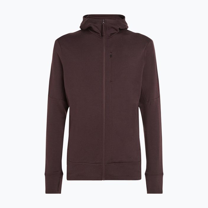 Vyriškas žygio džemperis icebreaker Merino 260 Quantum IV Zip Hoodie bittersweet 11