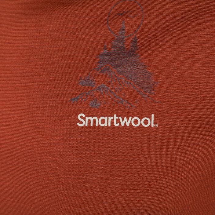 Vyriški marškinėliai Smartwool Wilderness Summit Graphic Tee brown SW016673J33 6