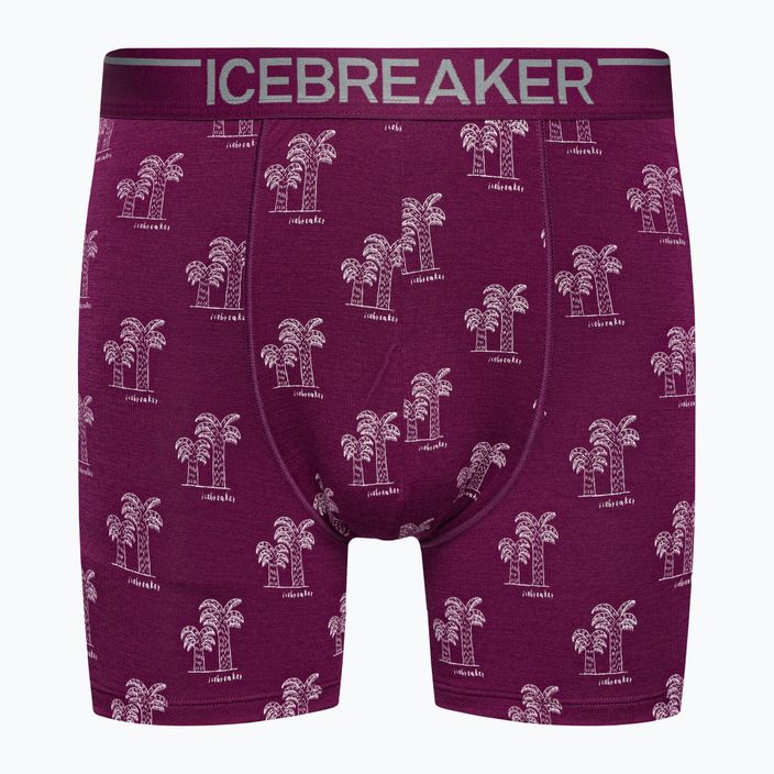 Vyriški terminiai boksininko šortai Icebreaker Anatomica go berry