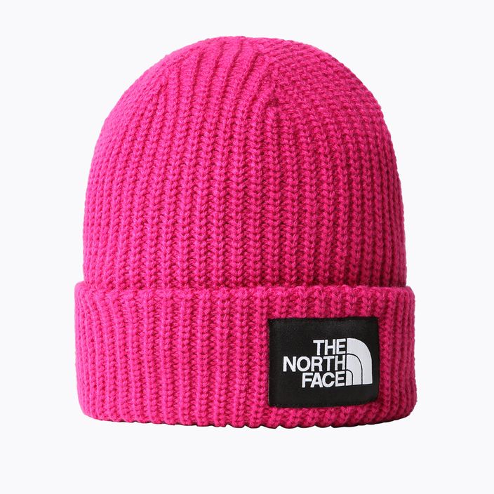 The North Face Sūriai rožinė kepurė NF0A7WG81461 4