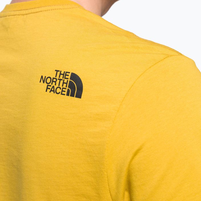 Vyriški trekingo marškinėliai The North Face Easy yellow NF0A2TX376S1 6
