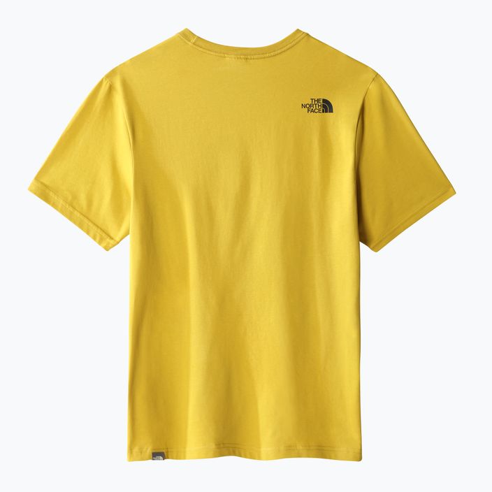 Vyriški trekingo marškinėliai The North Face Easy yellow NF0A2TX376S1 9