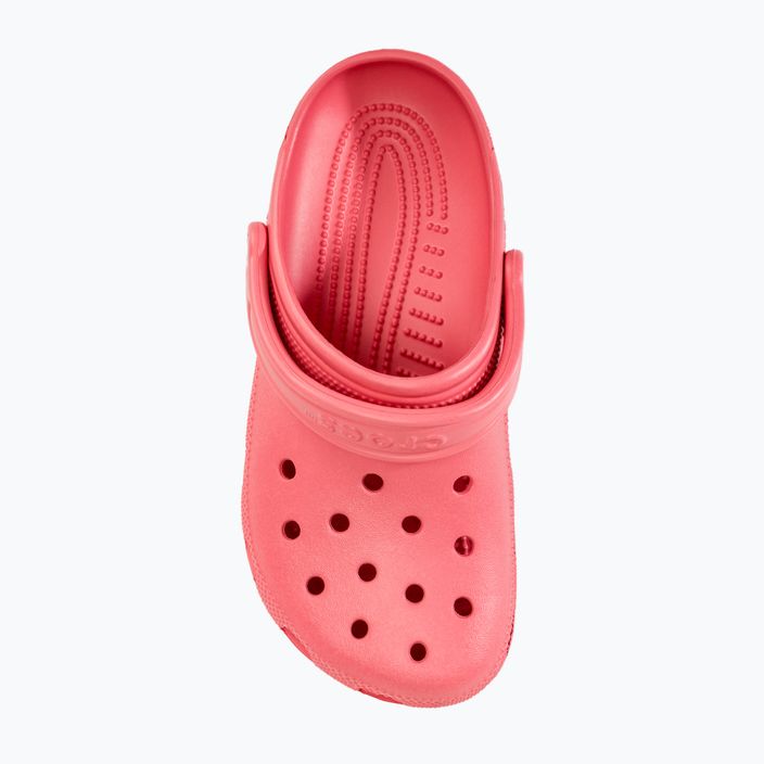 Šlepetės Crocs Classic hot blush 6