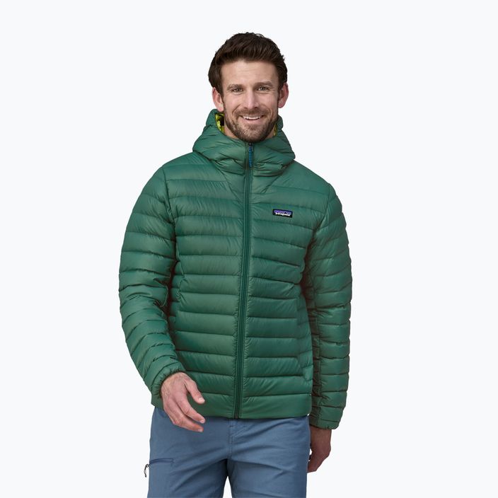 Vyriška pūsta striukė Patagonia Down Sweater Hoody conifer green