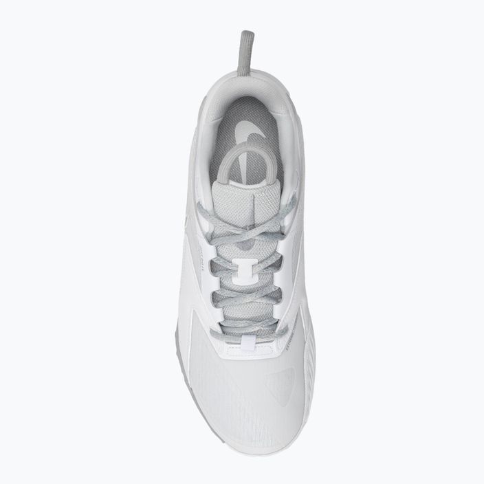 Tinklinio batai Nike Zoom Hyperace 3 photon dust/mtlc silver-white 5