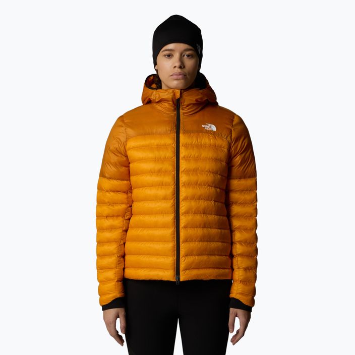 Moteriška pūkinė striukė The North Face Terra Peak Hoodie apricot glazūra / iron citrus