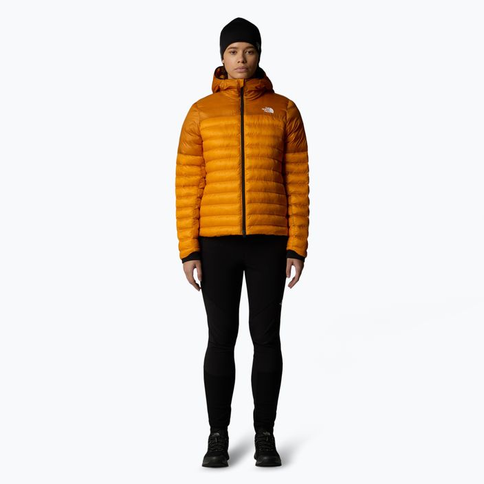 Moteriška pūkinė striukė The North Face Terra Peak Hoodie apricot glazūra / iron citrus 2