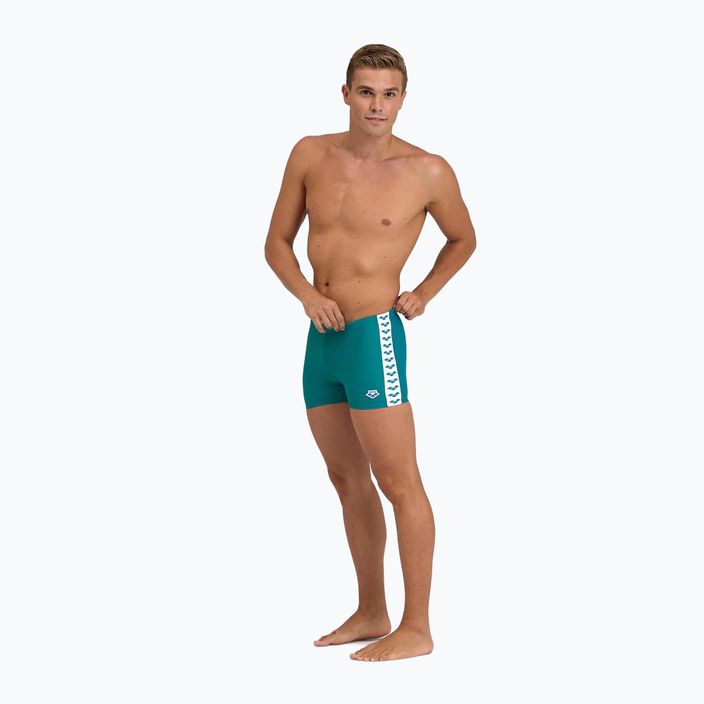 Vyriški arena Icons Swim Short Solid green lake swim boxers 6
