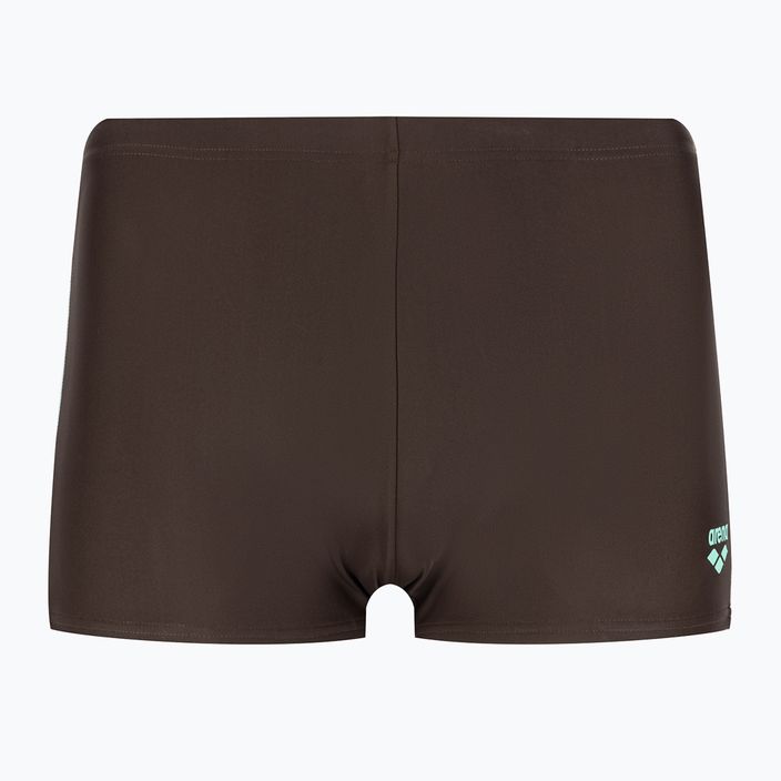 Maudymosi trumpikės Arena Icons Swim Short Solid sepia/water