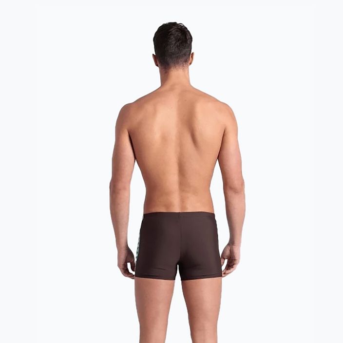 Maudymosi trumpikės Arena Icons Swim Short Solid sepia/water 6