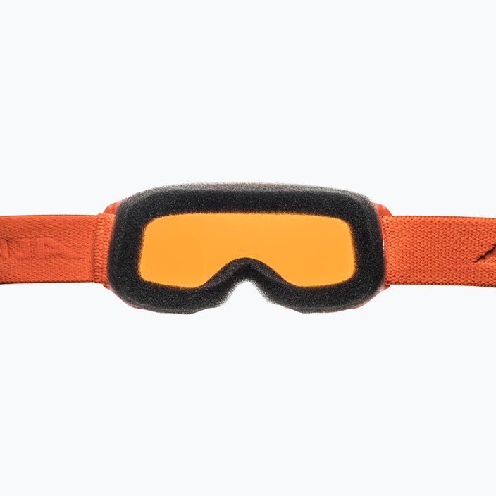 Alpina Piney moliūgų matinės spalvos/oranžiniai vaikiški slidinėjimo akiniai 8