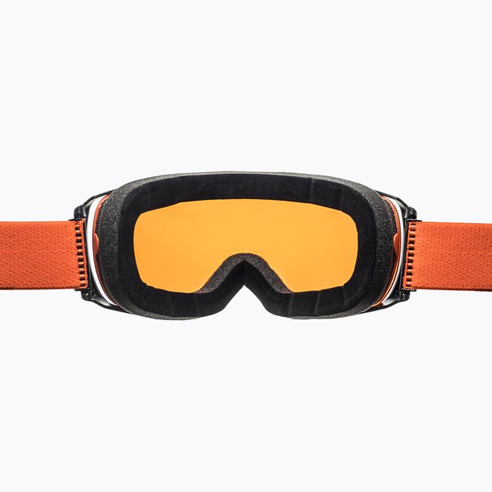 Alpina Granby Q-Lite juodi/moliūgų matiniai/auksiniai slidinėjimo akiniai 8