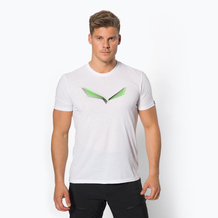 Vyriški Salewa Lines Graphic Dry trekingo marškinėliai balti 00-0000028065