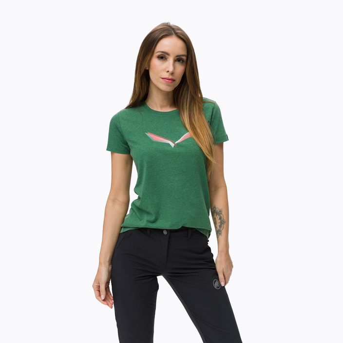 Salewa Lines Graphic Dry moteriški trekingo marškinėliai žali 00-0000028064