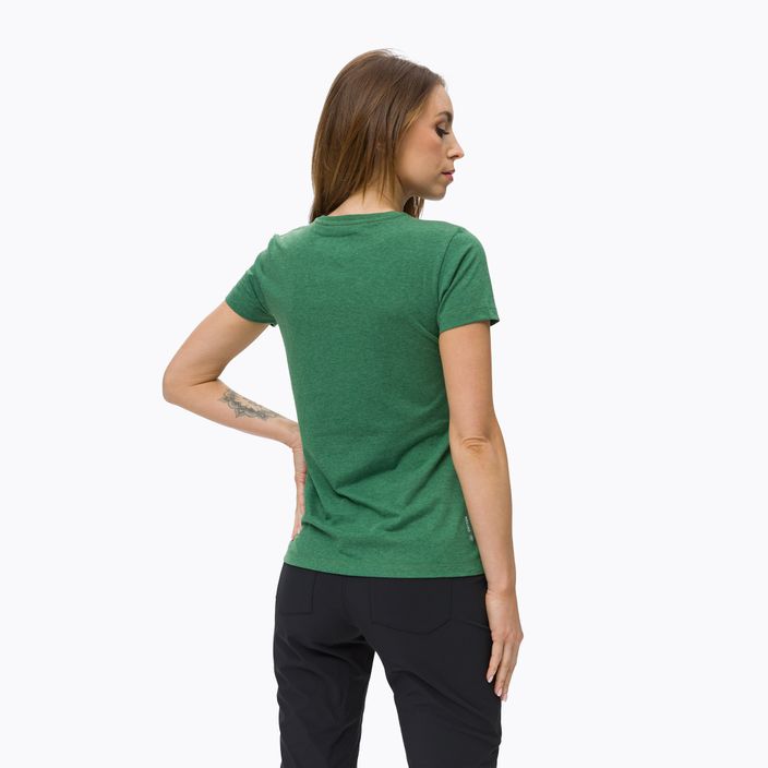 Salewa Lines Graphic Dry moteriški trekingo marškinėliai žali 00-0000028064 4