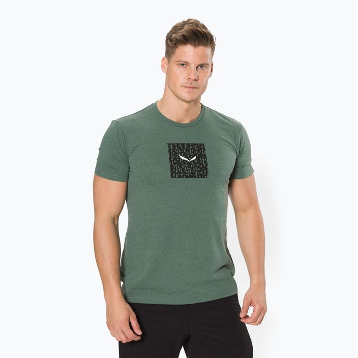 Salewa Pure Box Dry vyriški trekingo marškinėliai žali 00-0000028378