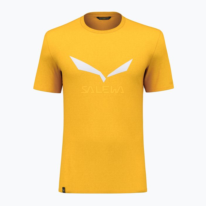 Vyriški trekingo marškinėliai Salewa Solidlogo Dry yellow 00-0000027018