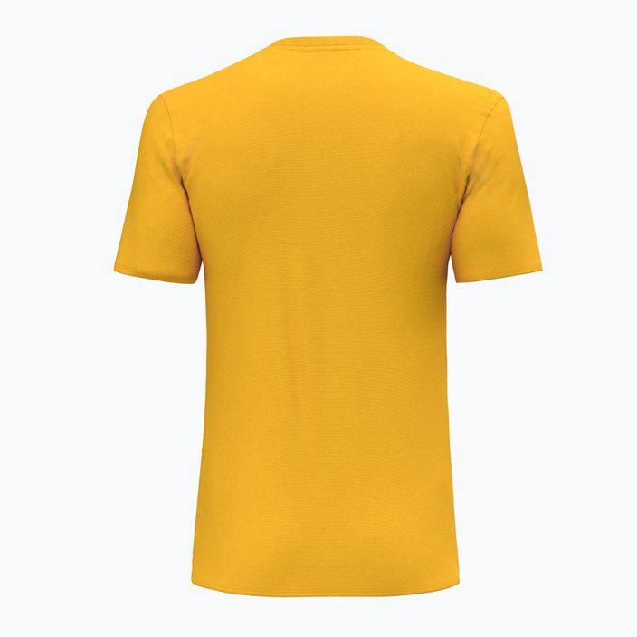 Vyriški trekingo marškinėliai Salewa Solidlogo Dry yellow 00-0000027018 2