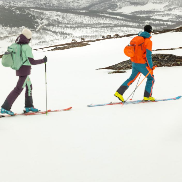 Jack Wolfskin vyriškos slidinėjimo kelnės Alpspitze 3L oranžinės 1115191 9