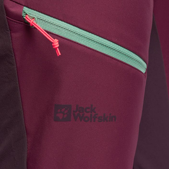 Jack Wolfskin moteriškos slidinėjimo kelnės Alpspitze pink 1507531 5