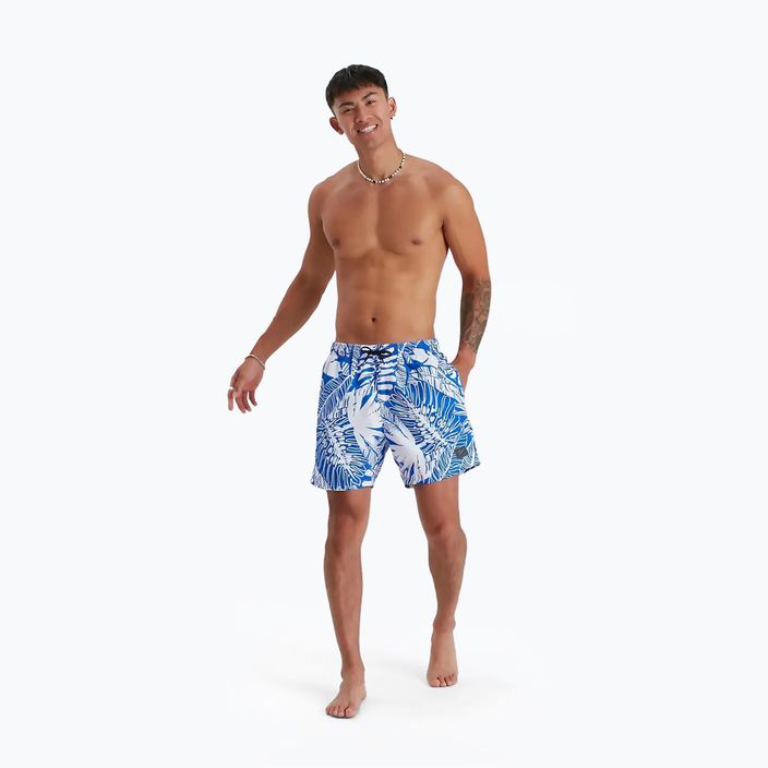 Speedo vyriški marškinėliai Speedo Printed Leisure 16" swim shorts blue 68-12837F958 2