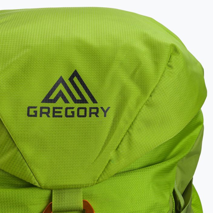 Gregory Alpinisto 35 l alpinistinė kuprinė žalia 02J*04041 5