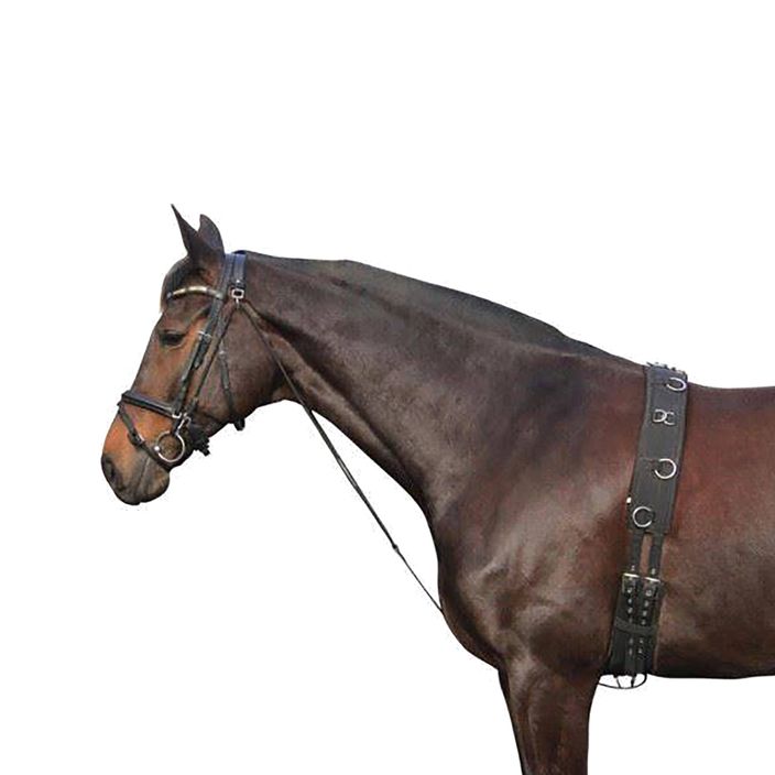 York arklio odos chambone juodas 180202 2