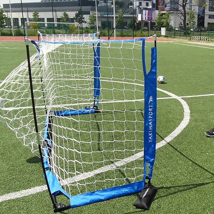 Yakimasport UNI futbolo vartai 300 x 155 cm mėlyni 100152 3