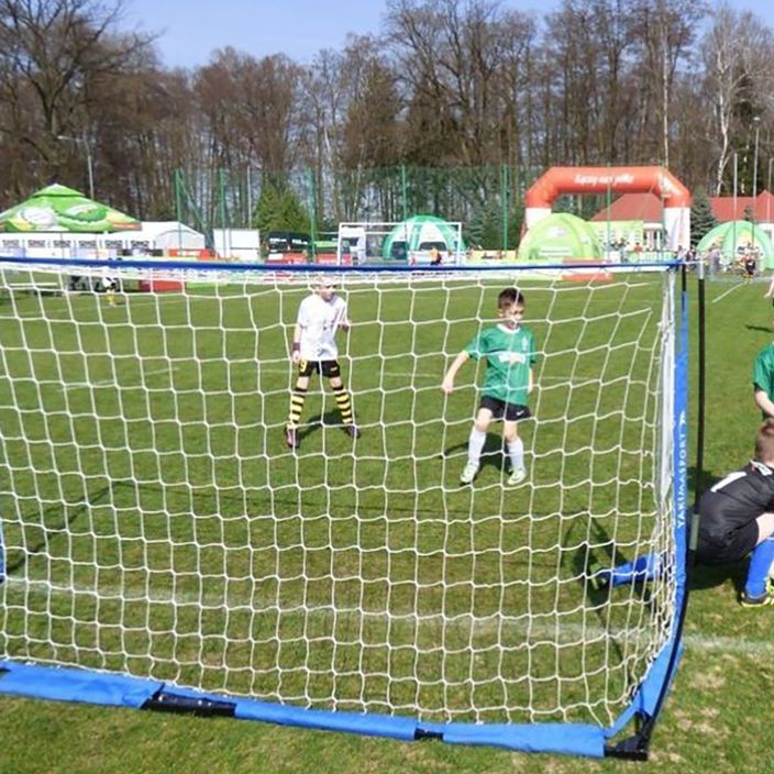 Yakimasport UNI futbolo vartai 300 x 155 cm mėlyni 100152 4