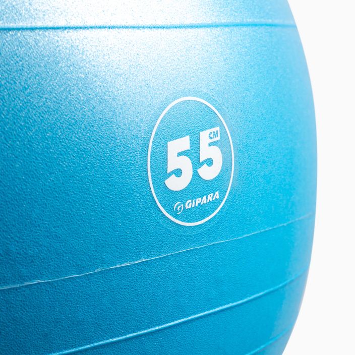 Gipara Fitness gimnastikos kamuolys mėlynas 3001 55 cm 2
