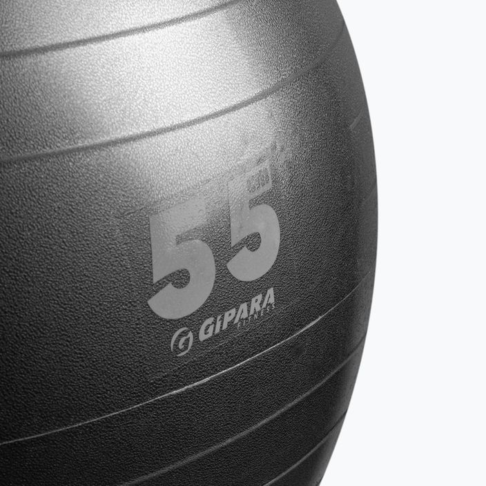 Gipara Fitness gimnastikos kamuolys pilkas 3141 55 cm 2