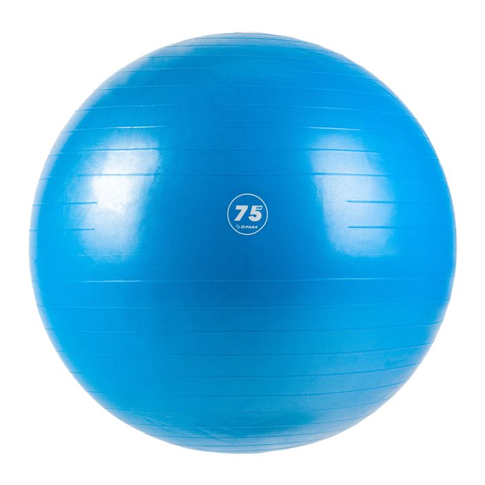 Gipara Fitness gimnastikos kamuolys mėlynas 3007 75 cm 2