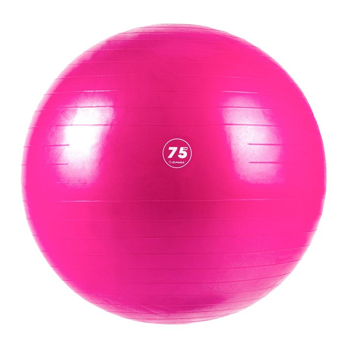 Gipara Fitness gimnastikos kamuolys rožinis 3008 75 cm 2
