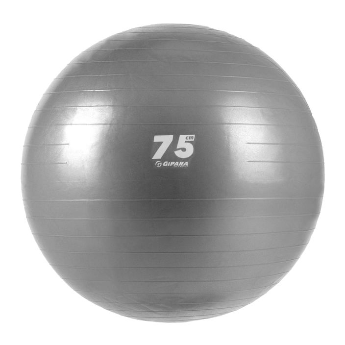 Gipara Fitness gimnastikos kamuolys pilkas 3143 75 cm 2