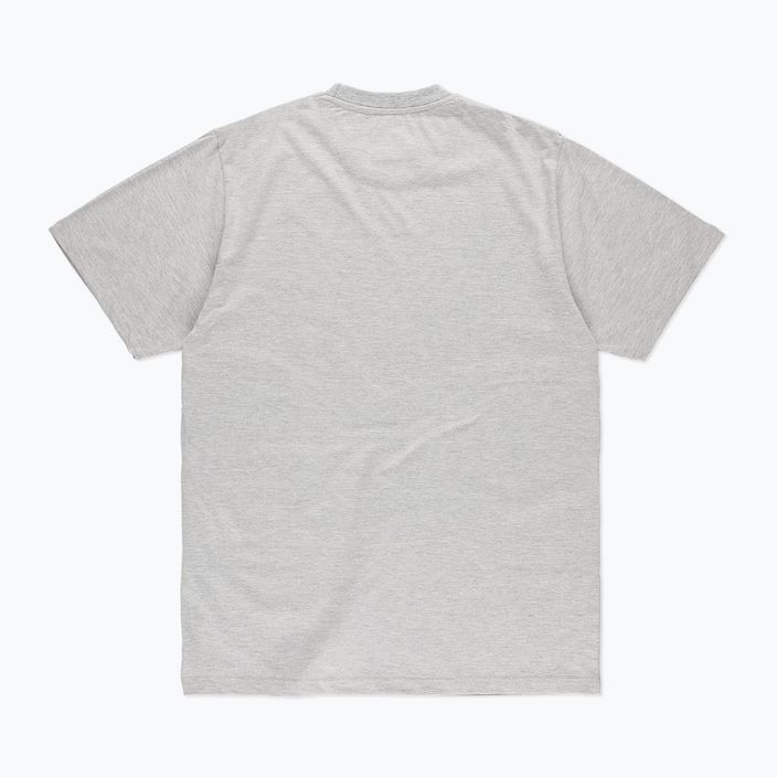 Vyriški marškinėliai PROSTO Tripad gray 2