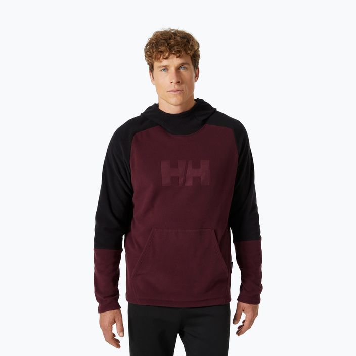 Vyriški Helly Hansen Daybreaker Logo Hoodie hickory trekking džemperiai