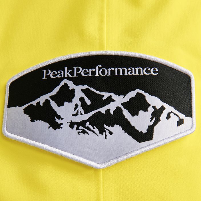 Vyriškos slidinėjimo kelnės Peak Performance Vertixs 2L yellow G76651010 4