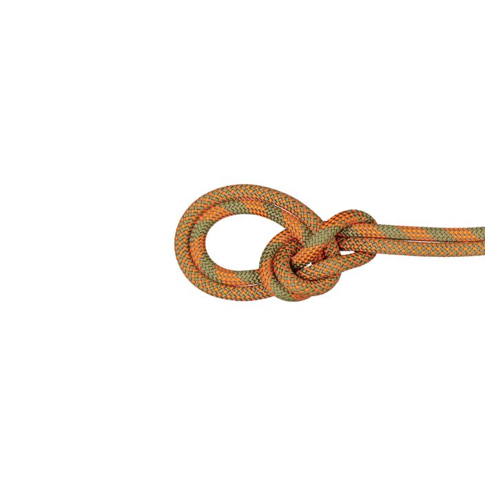 Mammut 9.5 Crag Dry laipiojimo virvė oranžinė 2
