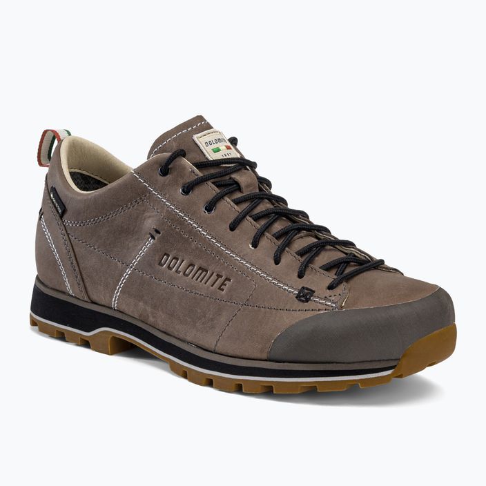 Vyriški Dolomite 54 Low FG GTX trekingo batai rudi 247959-1927